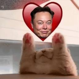 ELON