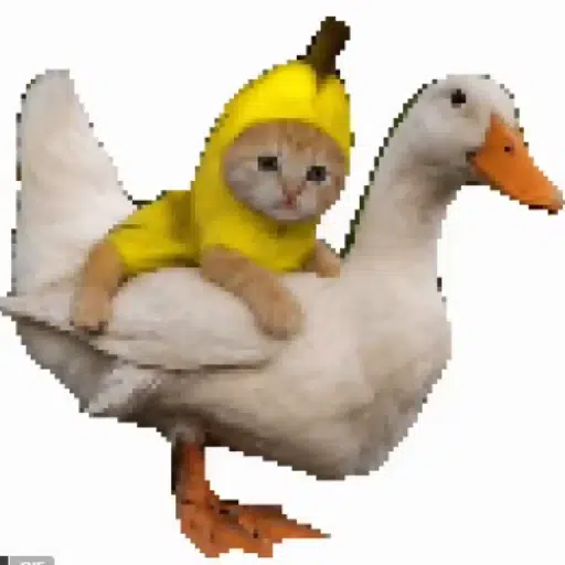 COD