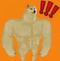 STRONK