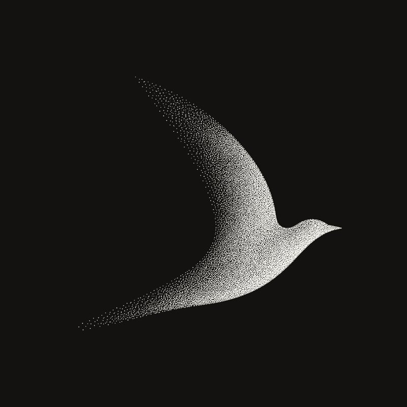 Flock — Flock Solana token traded by KOLs