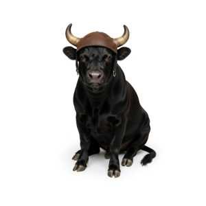 BULL