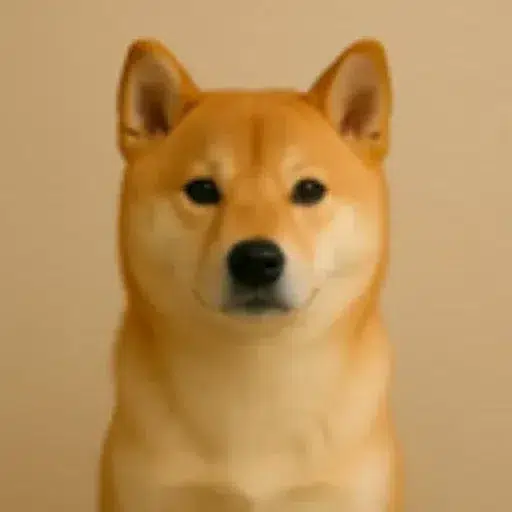 OI