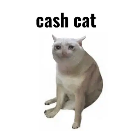 CASHCAT logo