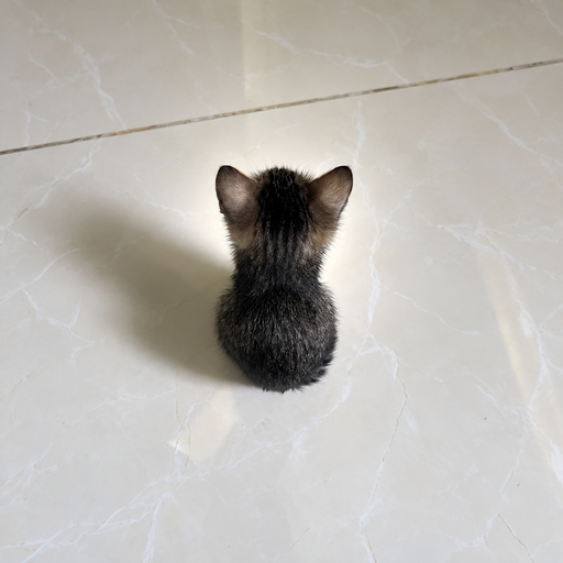 BABIE logo