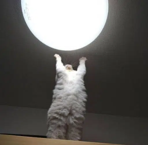 UP