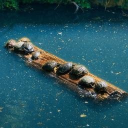 TEAMWORK