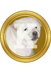 KIMO