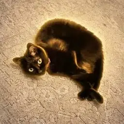 ナノちゃ
