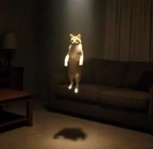 ascend