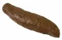 TURD