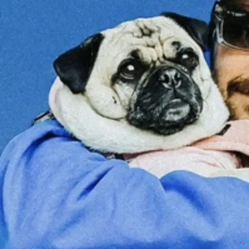 Chloe