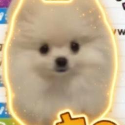 Unko-chan