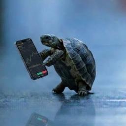 Turtle