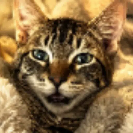 GUS