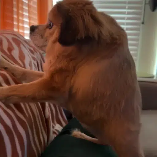 Tilly