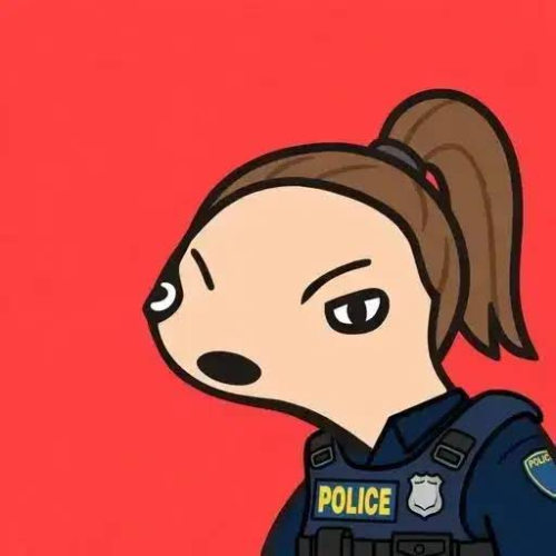 FEMCOP