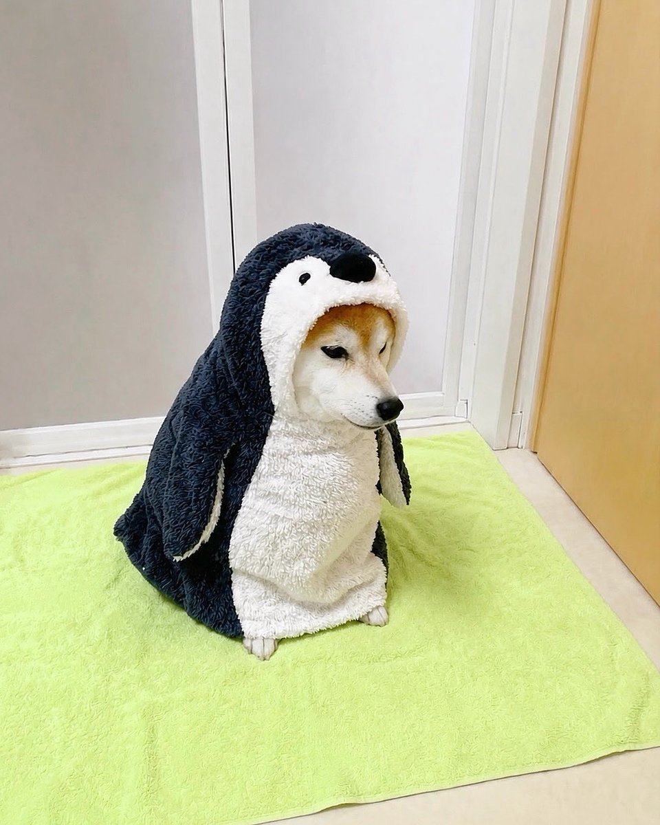 Mokomoko