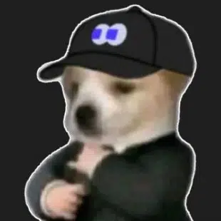fomodawg