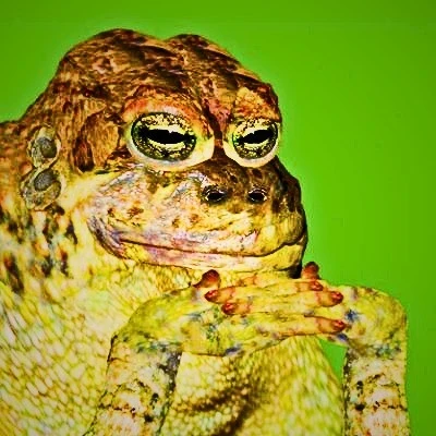 Gropyer