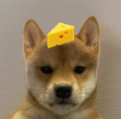 CHEESE
