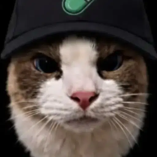 pumpcat