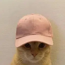Cap