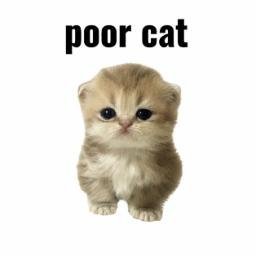 POORCAT