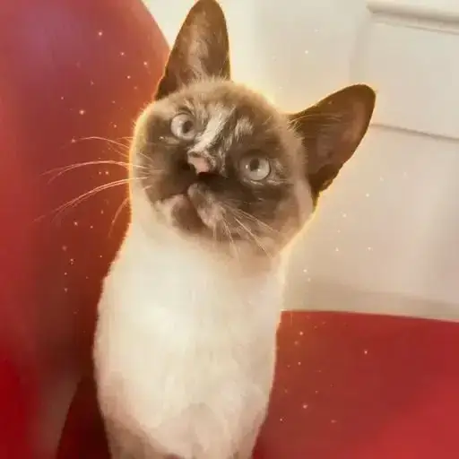 KIRA