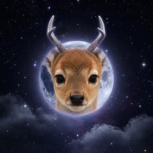 Buck