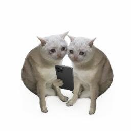 copycat