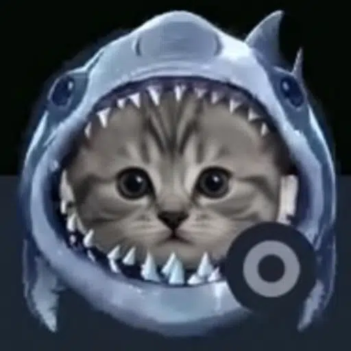 sharkcat