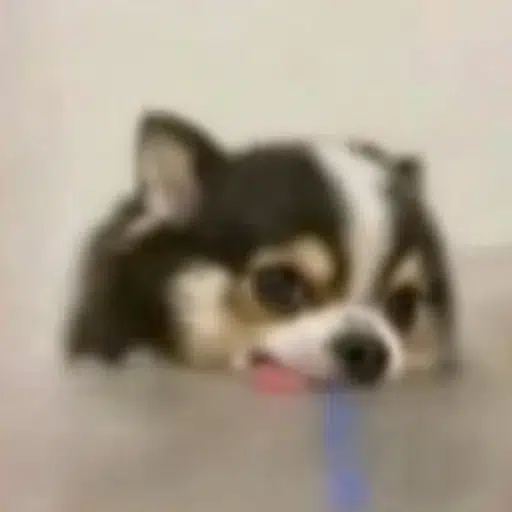 モチョチ