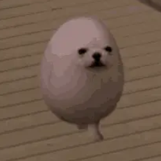 EGGDOG