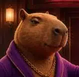 CAPY