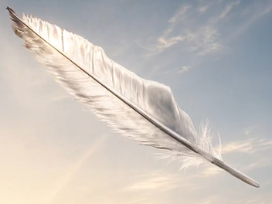 FEATHER
