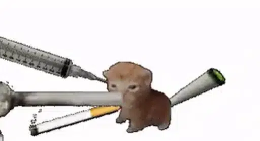 DrugCat