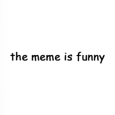 MEME logo
