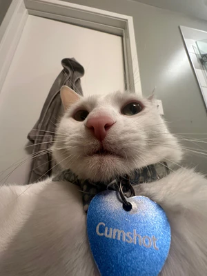Cumshot