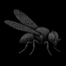 FLY