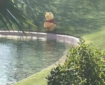 POOH
