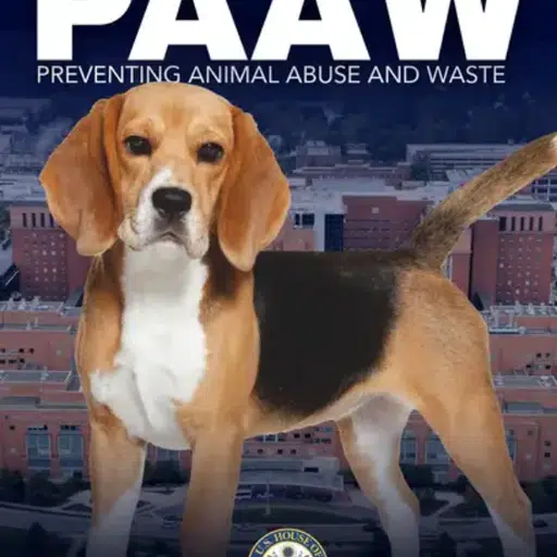 PAAW