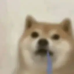 deg