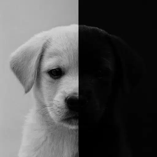 INU