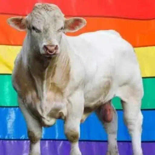 LGB