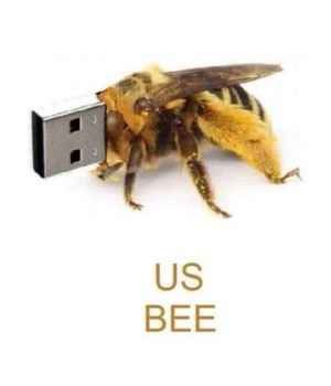 usbee