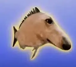 Borzoi