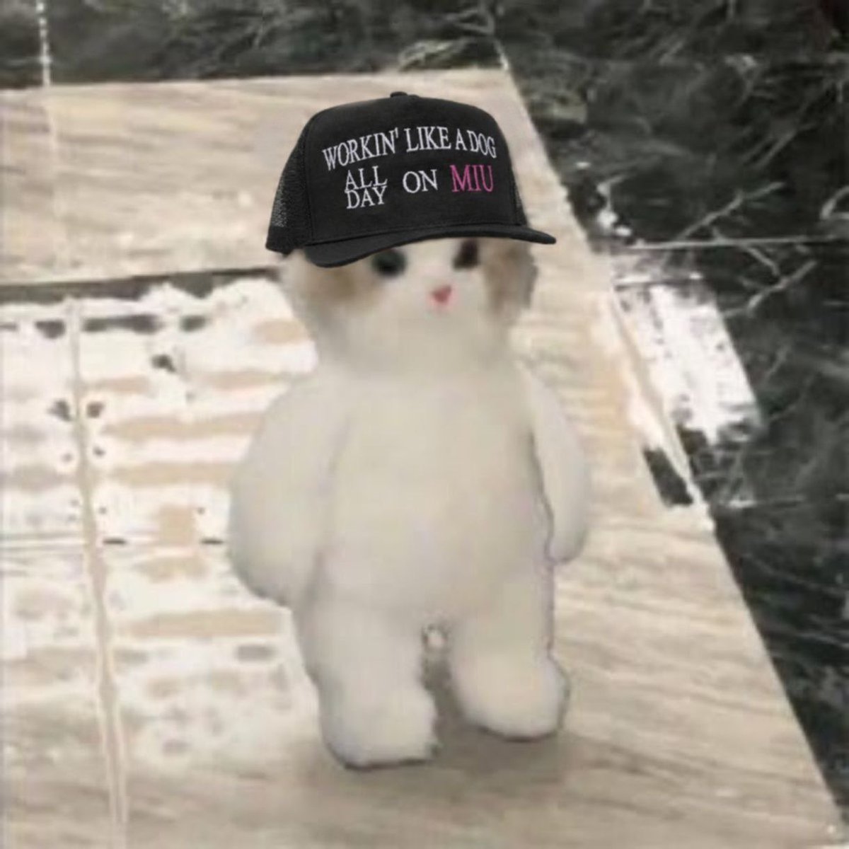 ily