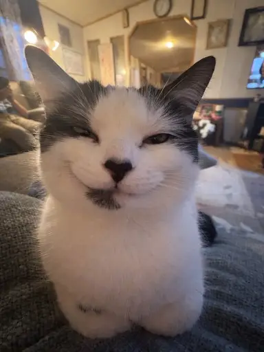 :)