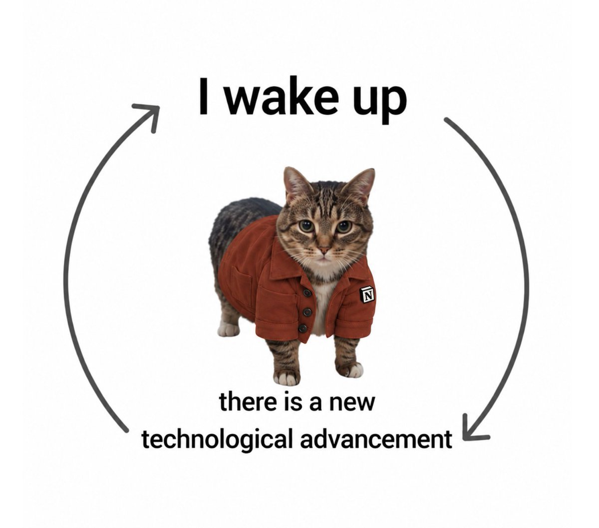 $notioncat token logo
