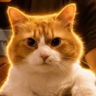Cheddar